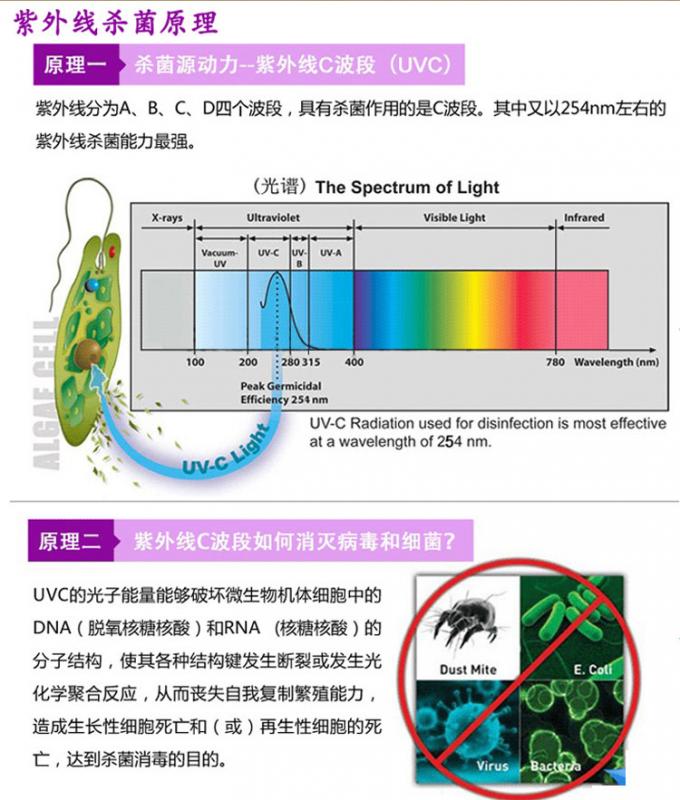 자외선은 양측 사이드 직관 자외선 자외선 LED 라이트 소독 전구 멸균 튜브 T5 10W 15W 20W 30W 40W 16을 램프를 갖춥니다