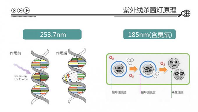 자외선은 양측 사이드 직관 자외선 자외선 LED 라이트 소독 전구 멸균 튜브 T5 10W 15W 20W 30W 40W 17을 램프를 갖춥니다